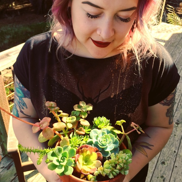 Cristie Raelin Kiley - Picture 1 of 8